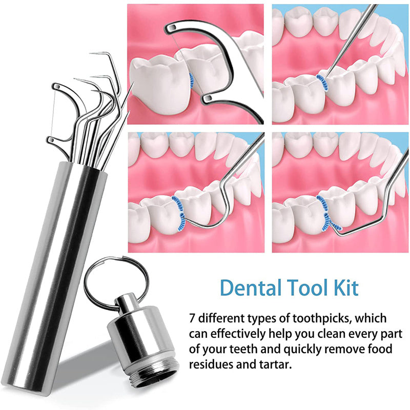 Portable Stainless Steel Toothpicks Pocket Set with Holder Dispenser