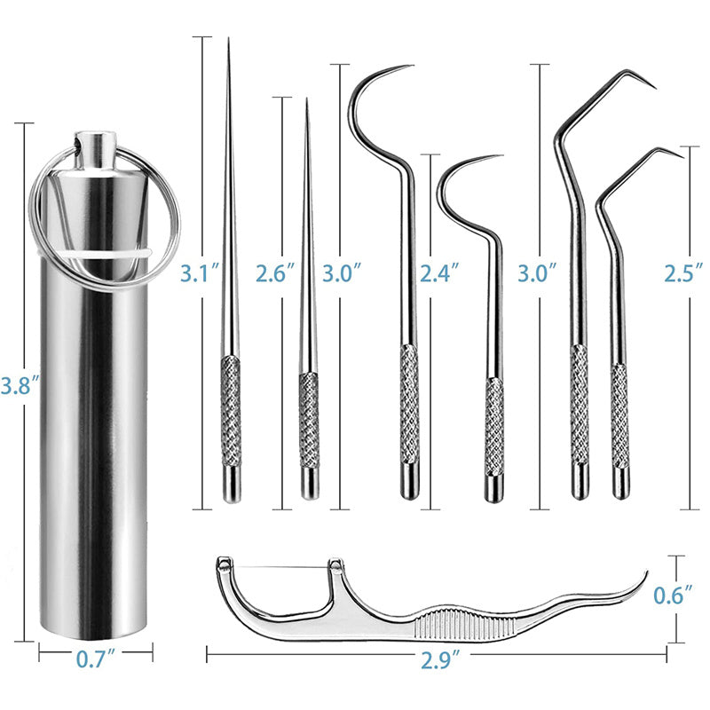 Portable Stainless Steel Toothpicks Pocket Set with Holder Dispenser