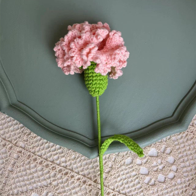 Knitted Carnation Flowers Crochet Flower Gift - Beginner Crochet Kit