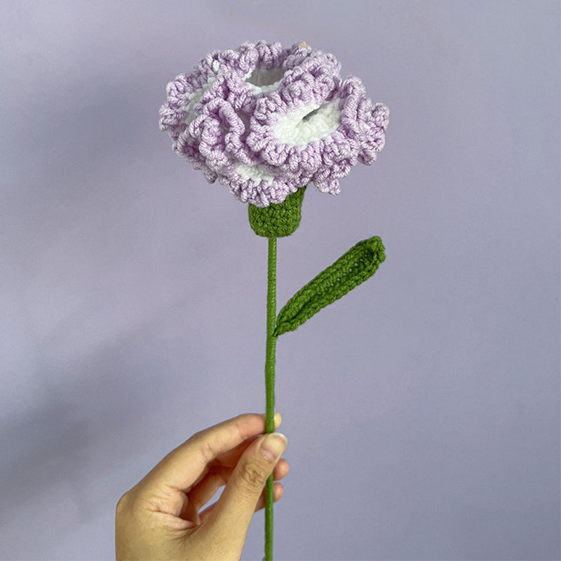 Knitted Carnation Flowers Crochet Flower Gift - Beginner Crochet Kit