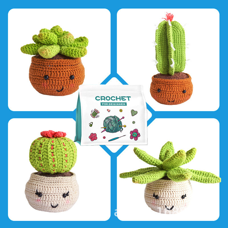 Beginner Crochet Kit Crochet Cactus Plant Starter Kit ﻿ ﻿