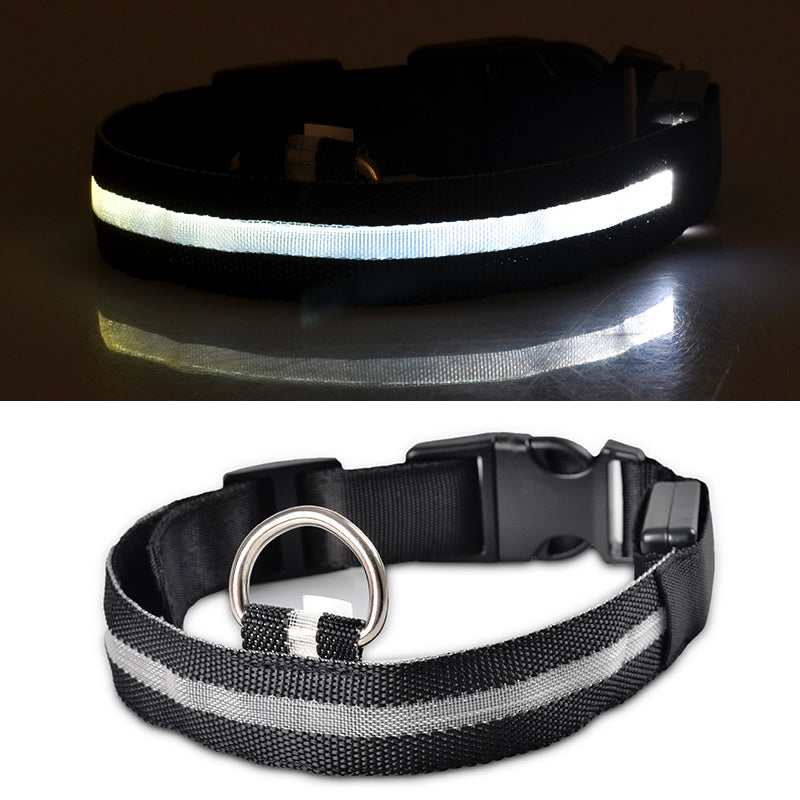 USB Rechargeable Light Up Dog Collars for Night Walking