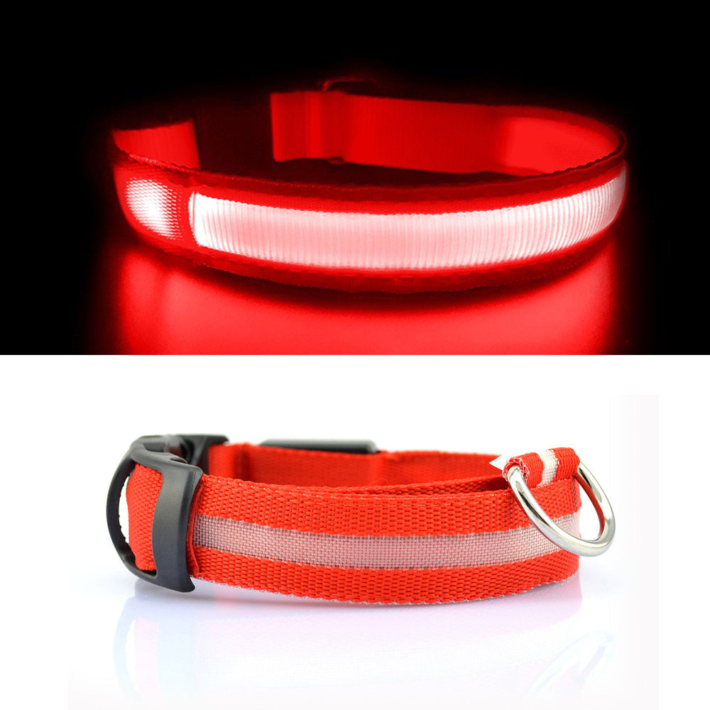 USB Rechargeable Light Up Dog Collars for Night Walking