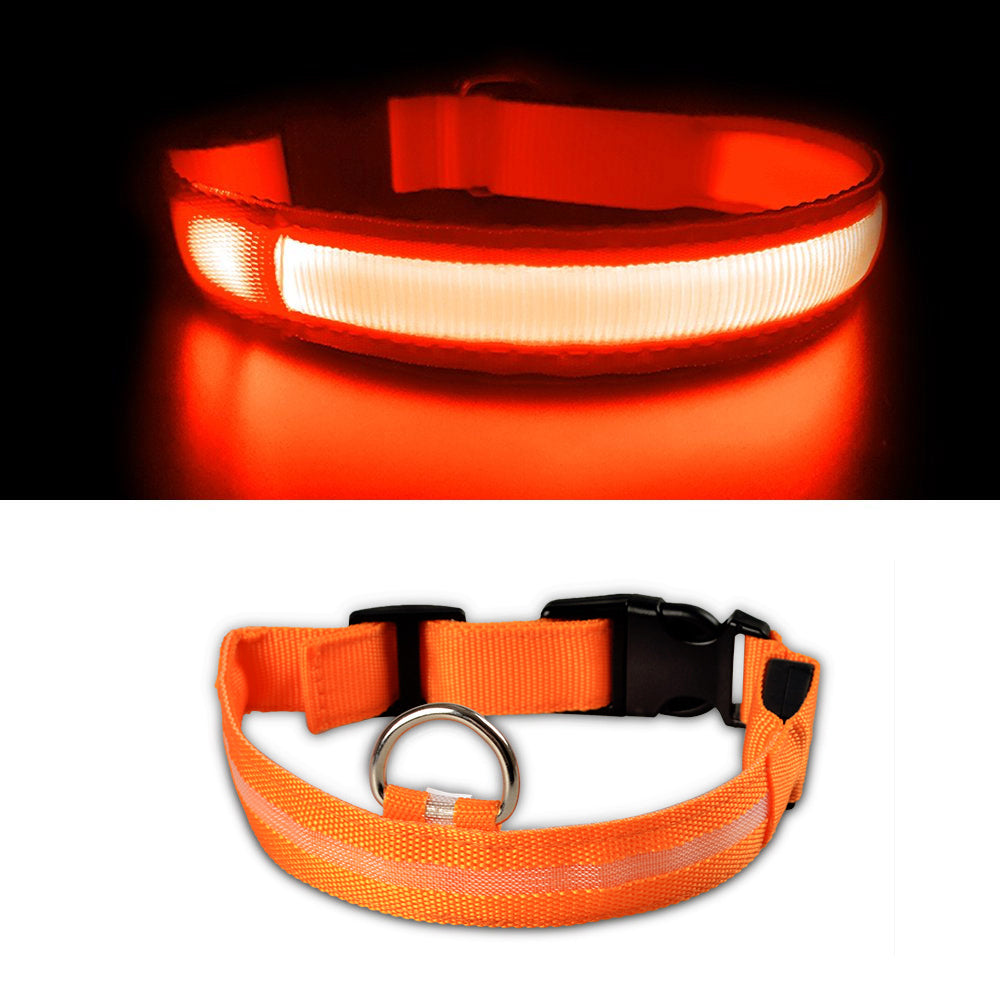 USB Rechargeable Light Up Dog Collars for Night Walking