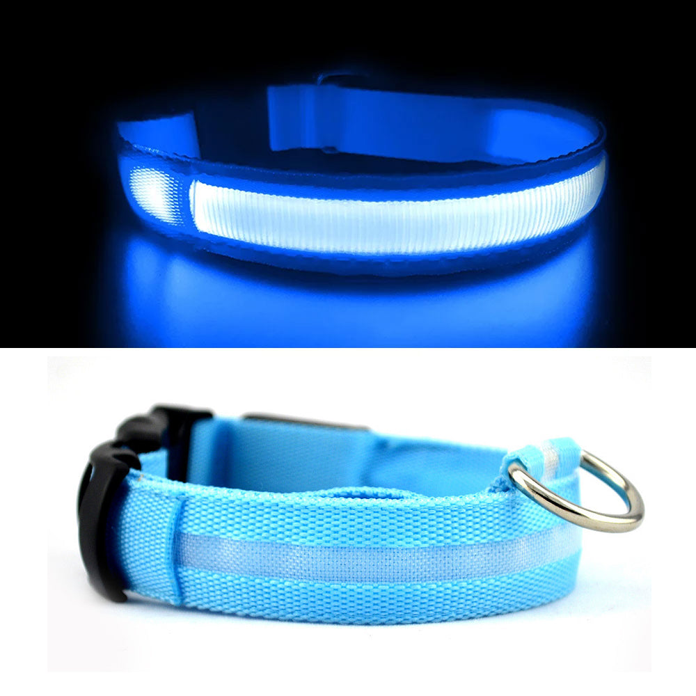 USB Rechargeable Light Up Dog Collars for Night Walking