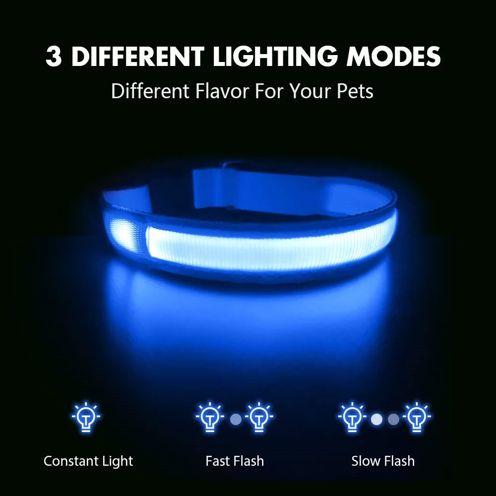 USB Rechargeable Light Up Dog Collars for Night Walking