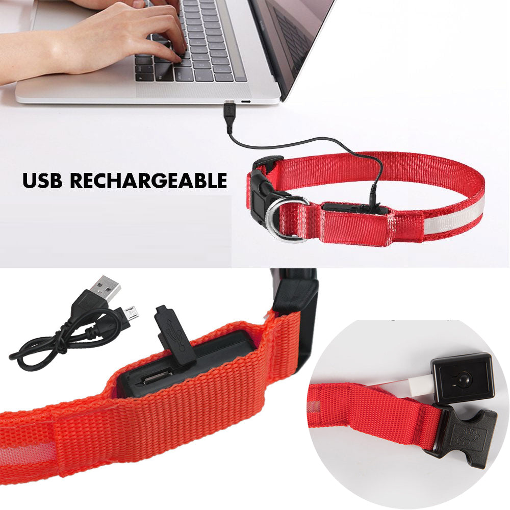 USB Rechargeable Light Up Dog Collars for Night Walking