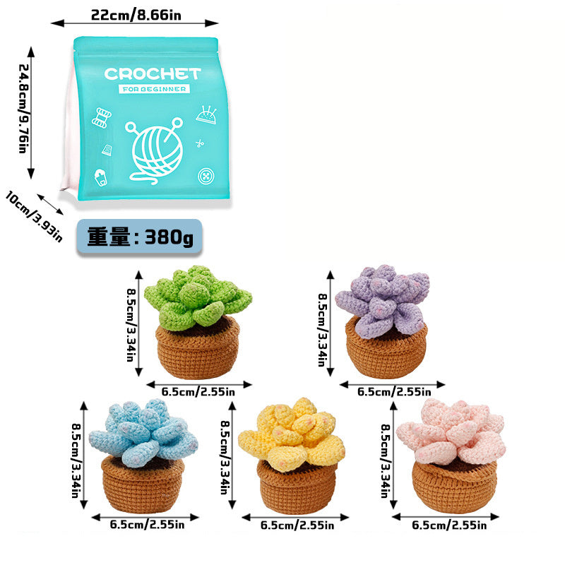 5-Pattern Cute Succulent Plants Crochet Starter Kit - Complete Set in Gift Box