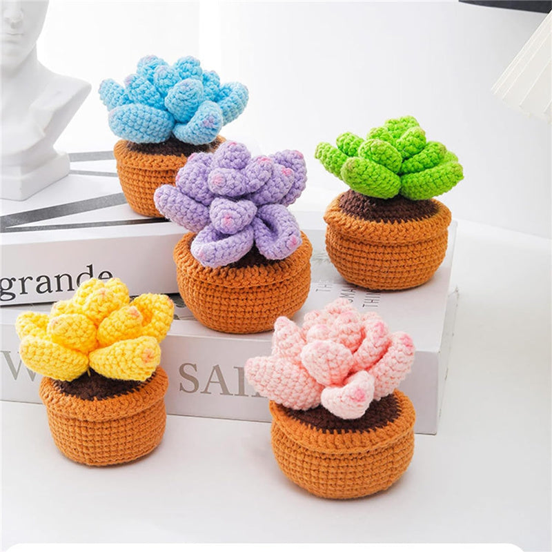 5PCS Cute Succulent Plants Crochet Starter Kit