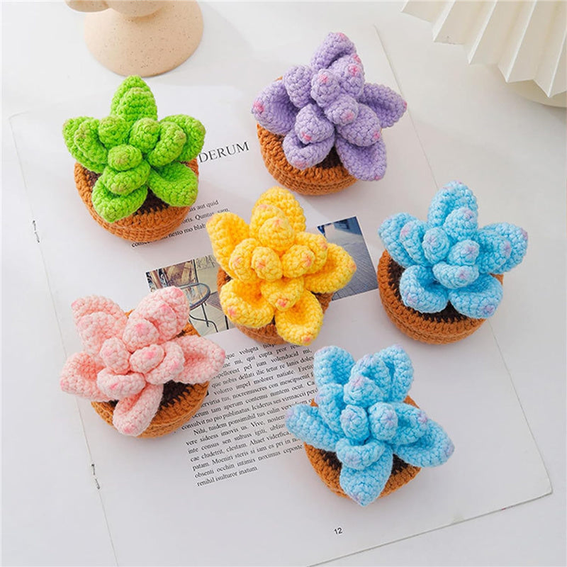 5PCS Cute Succulent Plants Crochet Starter Kit