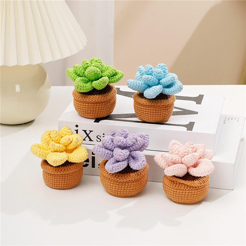 5PCS Cute Succulent Plants Crochet Starter Kit