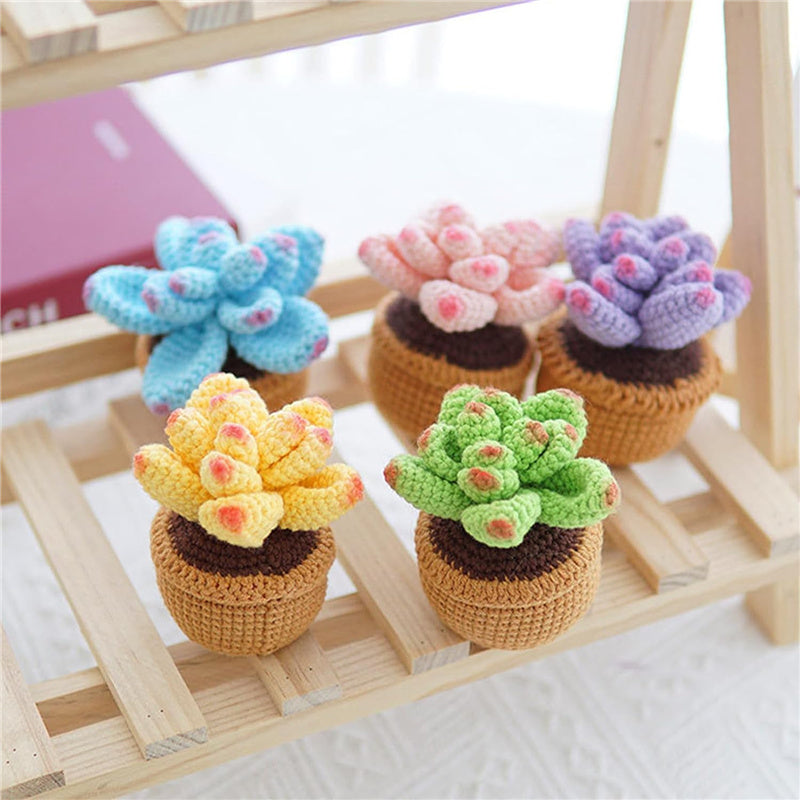 5PCS Cute Succulent Plants Crochet Starter Kit