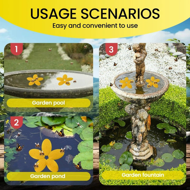 Outdoor Bee Water Plate Support Pollinator Health with Safe Drinking Platform