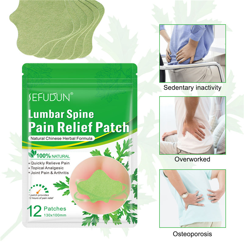 Pain Relief Patches: Herbal Analgesic Plaster for Knee, Neck, and Lumbar Pain Relief