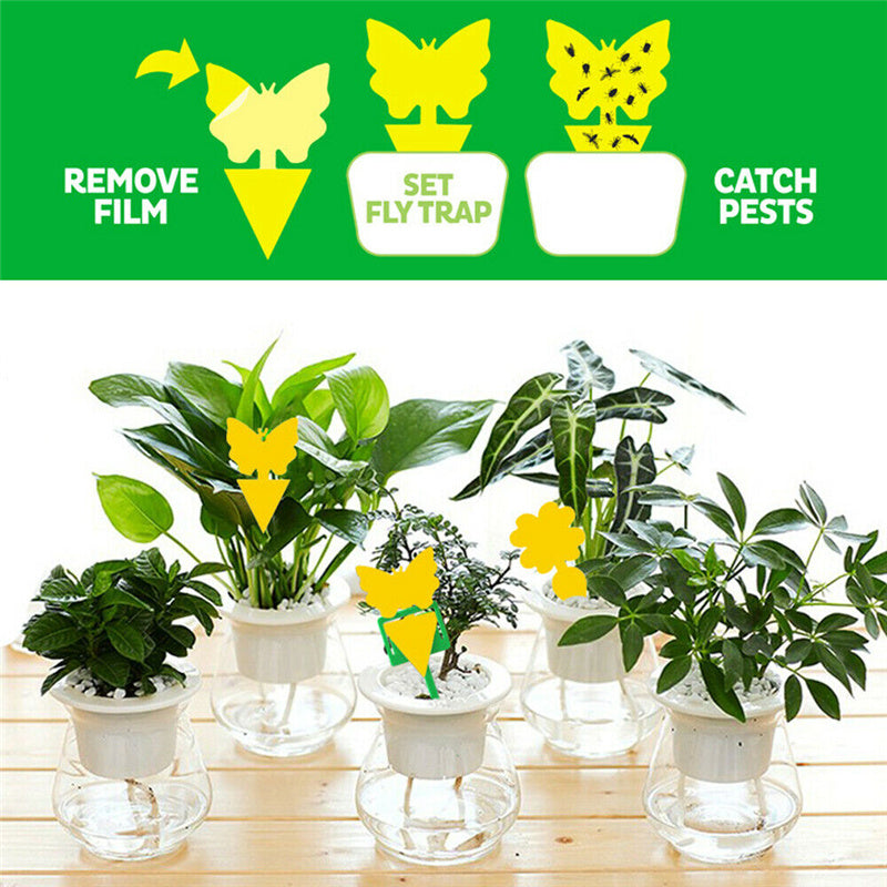 20Pcs/set Flower Sticky Trap Insect Killers with Holders