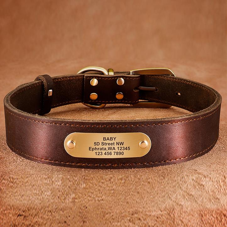 Genuine Leather Personalized ID Dog Collars Free Engrave Nameplate