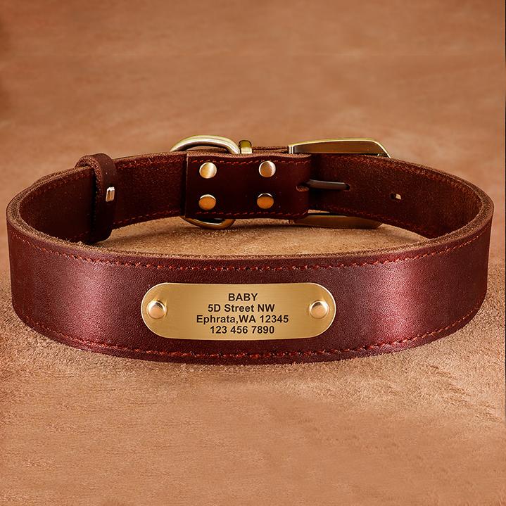 Genuine Leather Personalized ID Dog Collars Free Engrave Nameplate