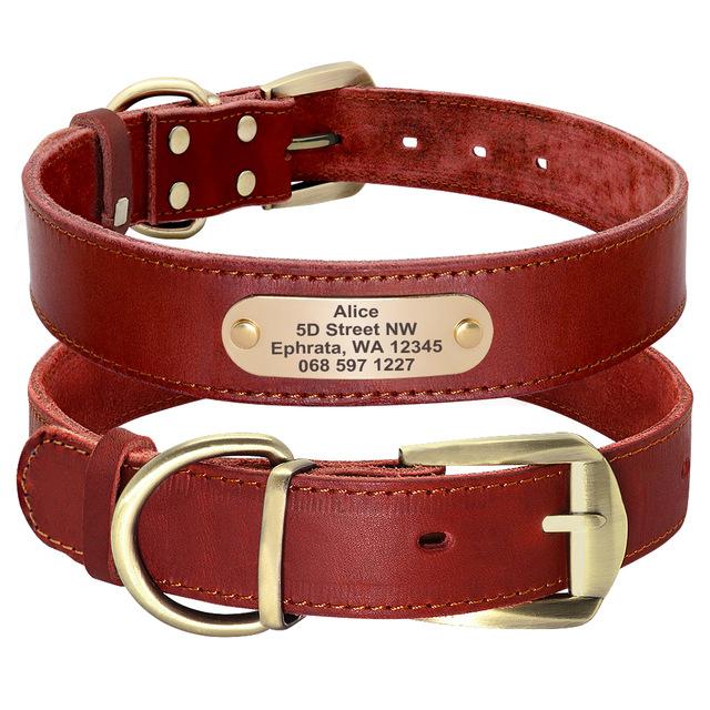 Genuine Leather Personalized ID Dog Collars Free Engrave Nameplate