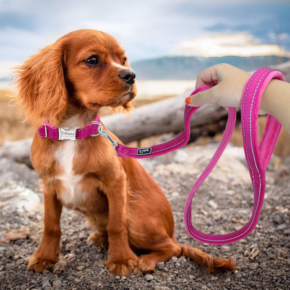 Personalized Reflective Nylon Soft Padded Dog Collar with Engrave Nameplate