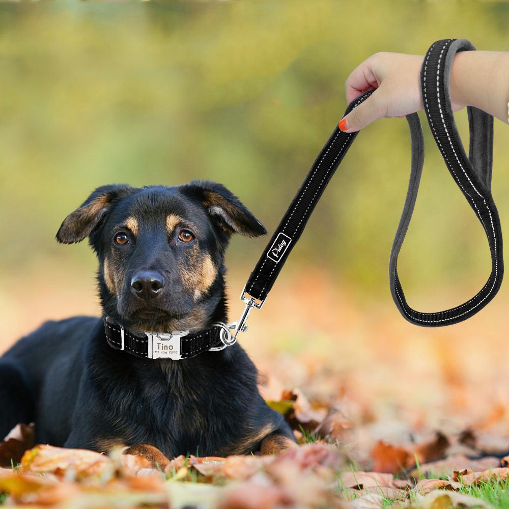 Personalized Reflective Nylon Soft Padded Dog Collar with Engrave Nameplate