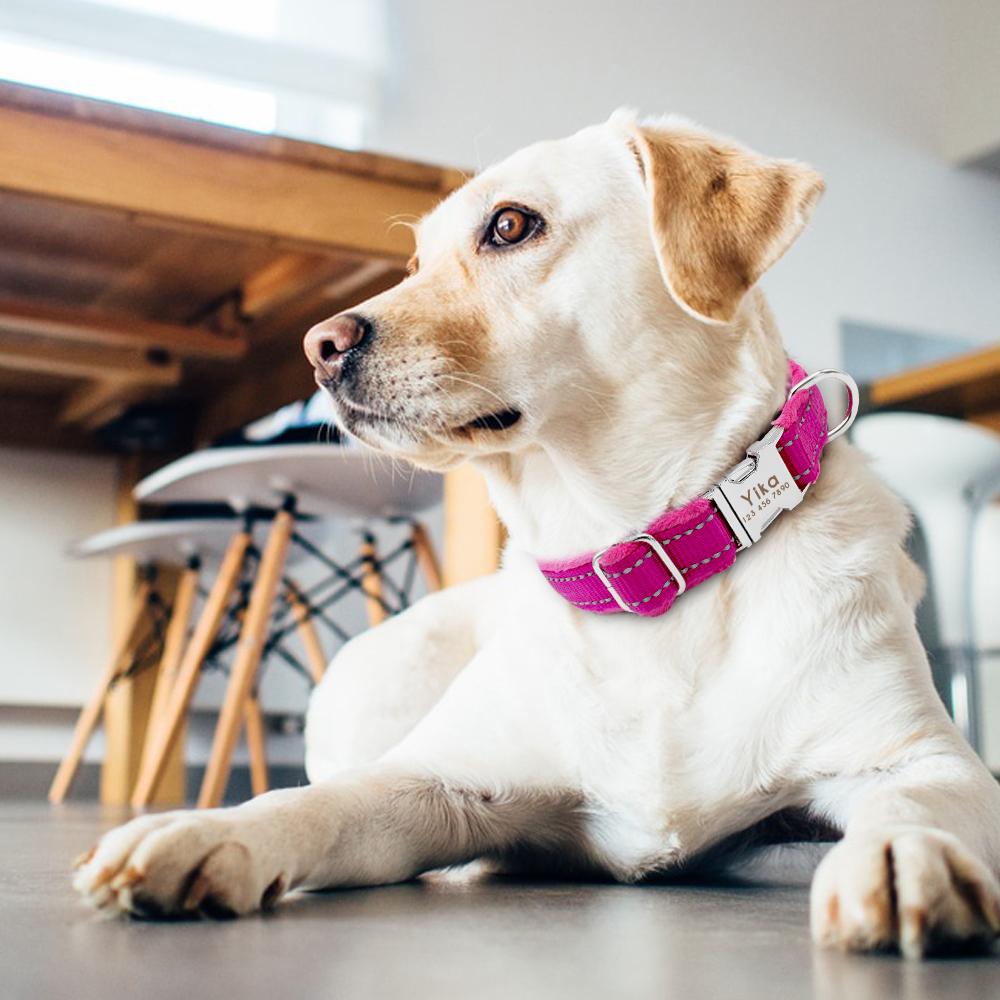 Personalized Reflective Nylon Soft Padded Dog Collar with Engrave Nameplate